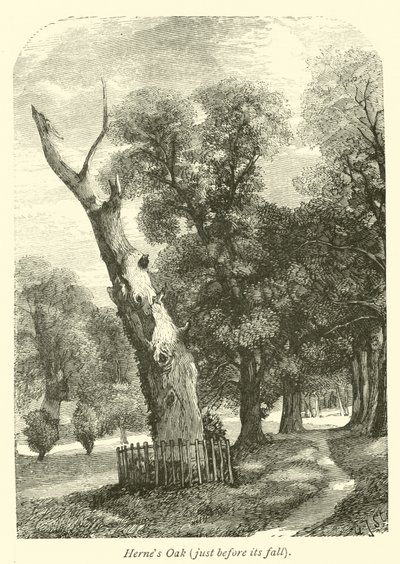 Hernes Oak, těsně před jeho pádem od English School
