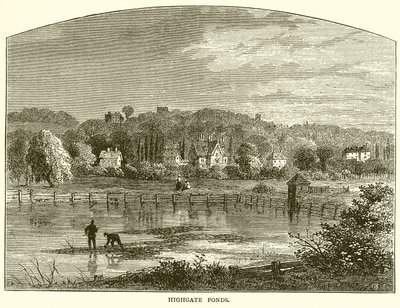 Highgate Ponds od English School