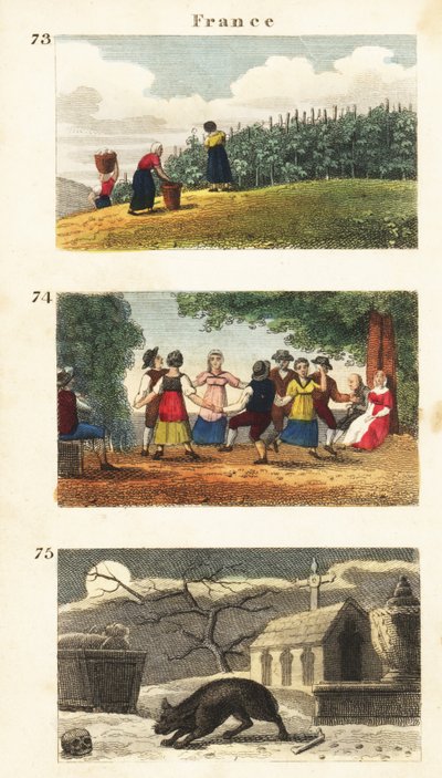 Historické pohledy na Francii od English School