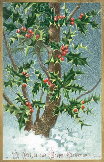 Holly Tree, Vánoční přání od English School