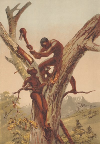 Lovci medu, Zambezie od English School