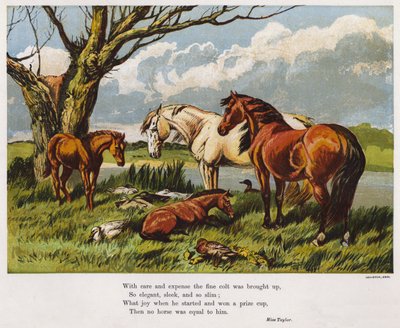 Koně s mladým hříbětem na břehu řeky (barevná rytina) od English School
