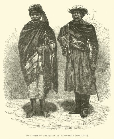 Hova špioni královny Madagaskaru, Madagaskar od English School