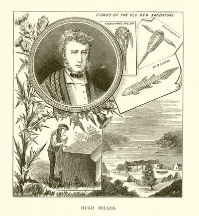 Hugh Miller od English School