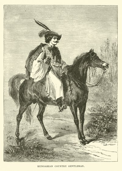 Maďarský venkovský gentleman od English School