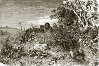 Jäger und Löwen von English School