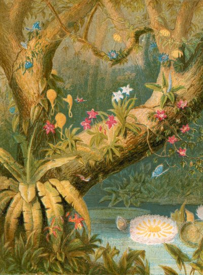 Ilustrace k Gray