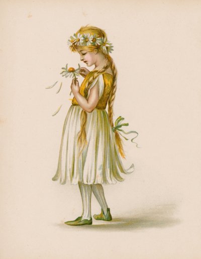 Ilustrace pro jazyk květin od English School