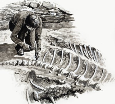 In the Days of the Dinosaurs: Battle of the Giants od English School
