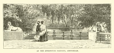 V zoologické zahradě v Amsterdamu od English School