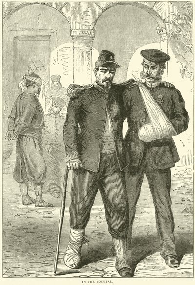V nemocnici, listopad 1870 od English School