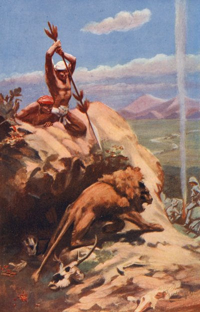 Indián kopírující lva (barevná litografie) od English School
