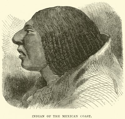 Indián z mexického pobřeží od English School
