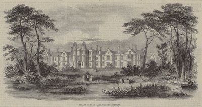 Infant Orphan Asylum, Snaresbrook (rytina) od English School