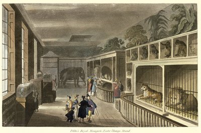 Vnitřní pohled na Politos Royal Menagerie, Exeter Change, Strand, 1812 (akvatinta) od English School