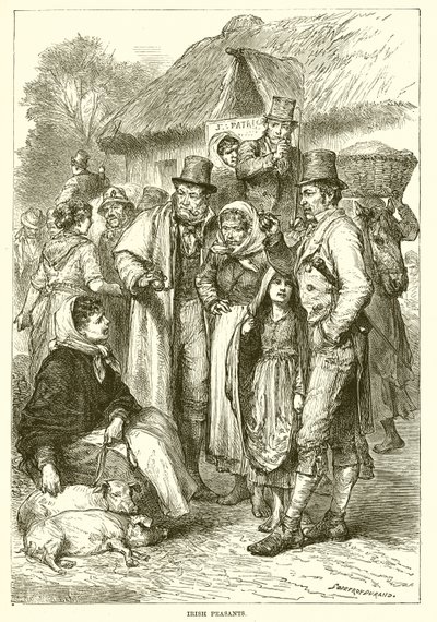 Irští rolníci od English School