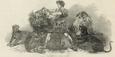 Isaac van Amburgh ve Vauxhall Gardens od English School