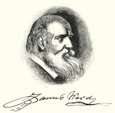James Ward (rytina) od English School