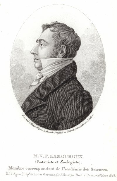 Jean Vincent Felix Lamouroux od English School
