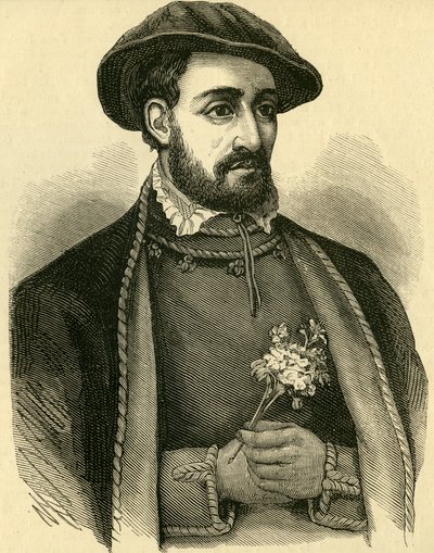 John Dudley, vévoda z Northumberlandu (1502-1553) od English School