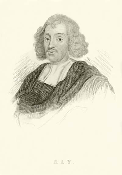 John Ray od English School