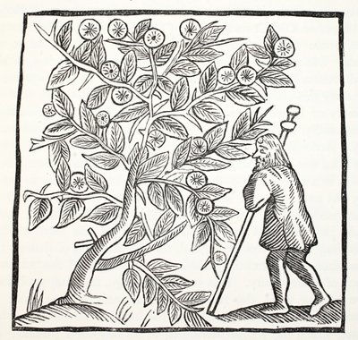 Joseph of Arimathea and the Glastonbury Thorn, ilustrace z Chap-books of the Eighteenth Century od Johna Ashtona, pub. 1882 od English School