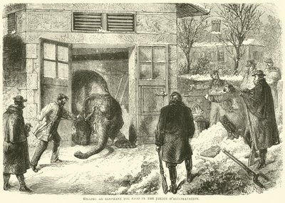 Zabití slona kvůli jídlu v Jardin dAcclimatation, listopad 1870 od English School