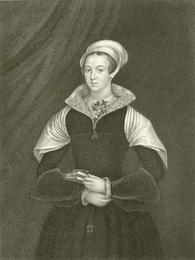 Lady Jane Grayová od English School