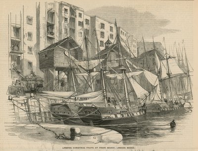 Přistání vánočního ovoce ve Fresh Wharf od English School