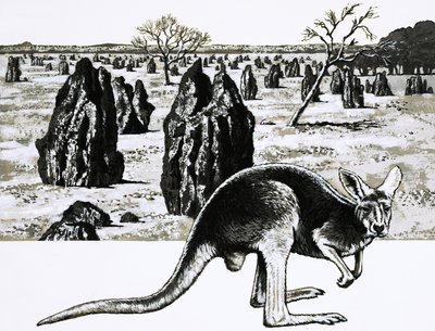 Velká termitiště poblíž Darwinu v Austrálii a klokan v popředí od English School