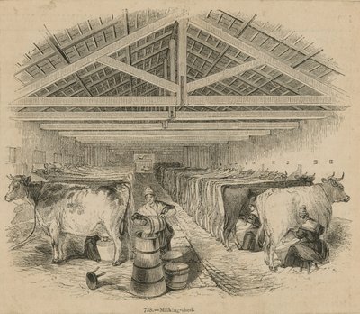 Laycocks Dairy Farm, z července 1841 od English School