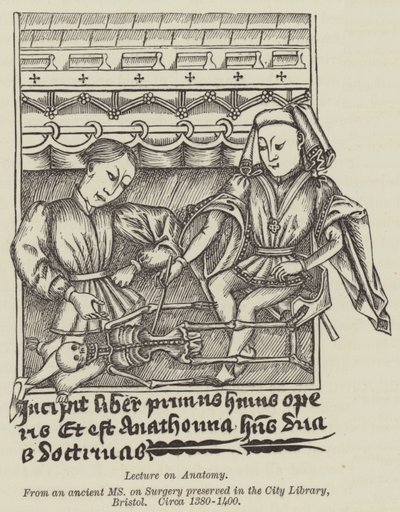 Přednáška z anatomie (rytina) od English School