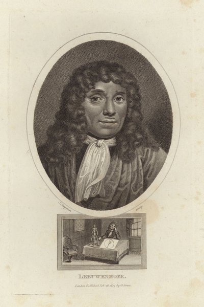 Leeuwenhoek od English School