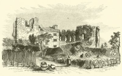 Leicester Abbey (rytina) od English School