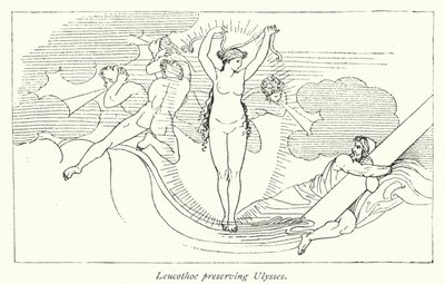 Leucothoe konzervující Ulysses (litho) od English School