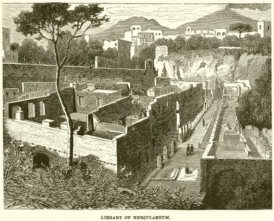 Knihovna Herculaneum od English School
