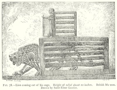 Löwe kommt aus seinem Käfig (Gravur) von English School