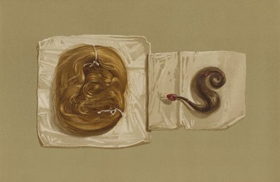 Vlasový pramen skotské královny Marie, pramen vlasů krále Karla I. (chromolitho) od English School