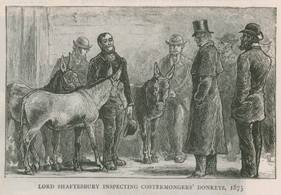 Lord Shaftesbury kontroluje costermongers osly od English School