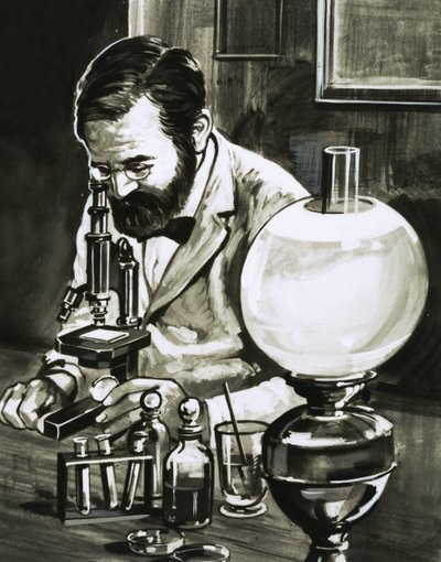 Louis Pasteur od English School
