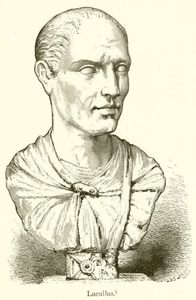 Lucullus od English School