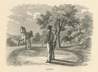 Lunging (rytina) od English School