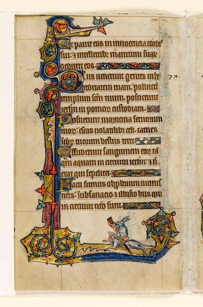 MS 1-2005, fol. 115v: Králík jedoucí na psovi, lov, okrajová dekorace z Macclesfieldského žaltáře, Use of Sarum, East Anglia, c.1330 od English School