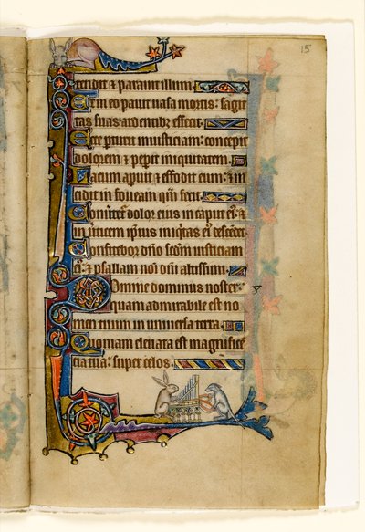 MS 1-2005, fol. 15r: Zajíc a pes hrající na varhany, okrajová dekorace z Macclesfieldského žaltáře, Use of Sarum, East Anglia, cca 1330 od English School