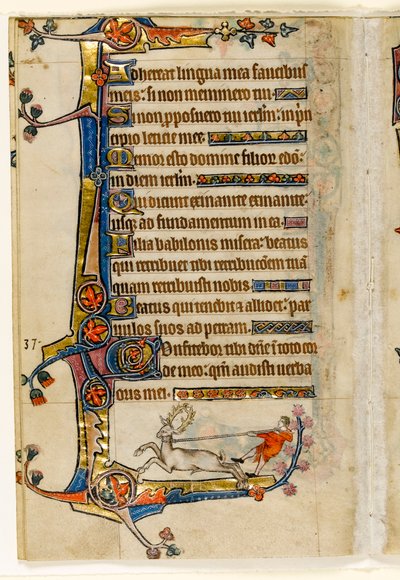 MS 1-2005, fol. 193v: A Stag Lassoed by a Man, okrajová dekorace z Macclesfieldského žaltáře, Use of Sarum, East Anglia, c.1330 od English School