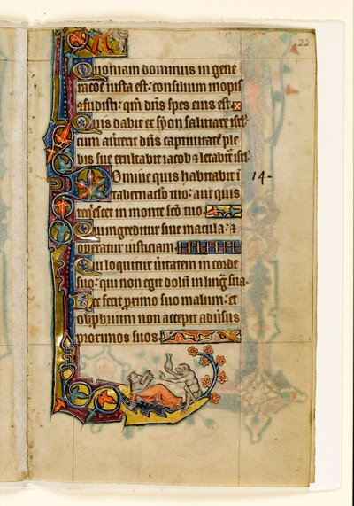 MS 1-2005, fol. 22r: Doktor lidoopů a jeho medvědí pacient, okrajová dekorace z Macclesfieldova žaltáře, Use of Sarum, East Anglia, c.1330 od English School