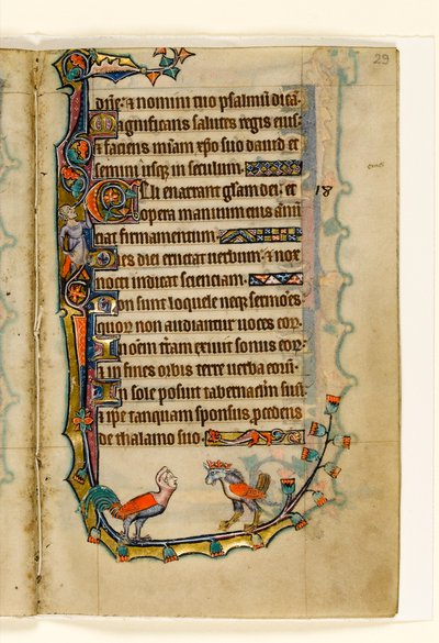 MS 1-2005, fol. 29r: Two Bird like grotesques, okrajová dekorace z Macclesfieldského žaltáře, Use of Sarum, East Anglia, c.1330 od English School