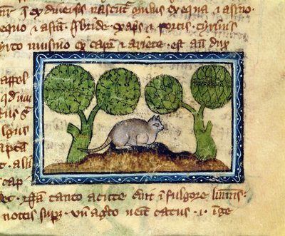 MS 379 f.12r Kočka krčící se na kopečku hlíny, detail z bestiáře, anglicky od English School