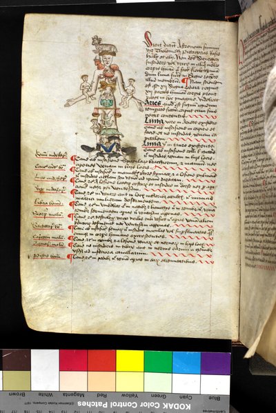 MS Hunter 251 f.47v, ilustrace 