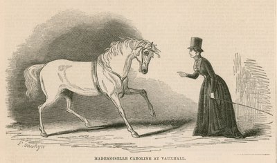Mademoiselle Caroline ve Vauxhall Gardens v Londýně od English School